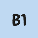 b1