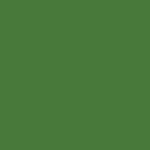 Grasgrün (RAL 6010)