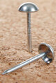 78199w.jpg