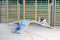 91762w.jpg