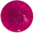78472w.jpg