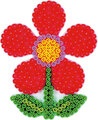 78497w.jpg