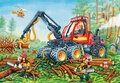 84538w.jpg