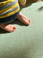 Vorwerk® Rustica Detail