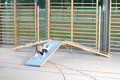 91763w.jpg