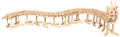 49920w.jpg