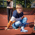 113559w.jpg