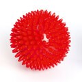 155564_igelball_gr