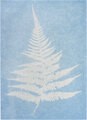PhänoMINT Sonnendruckpapier blau