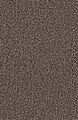 239882_128636w