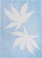PhänoMINT Sonnendruckpapier blau