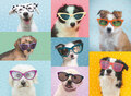 Ravensburger Puzzle XXL "Witzige Hunde"