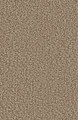41305_128635w