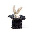 Mini Zauberhut mit Hase
