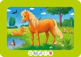 Pferd