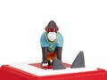 tonie Volker Rosin Gorilla mit der Sonnenbrille
