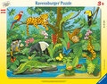 Tiere im Regenwald