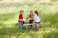 Kinder im Grünen sitzen auf der Garnitur