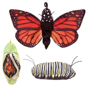 Produktbild von Verwandlungspuppe Schmetterling