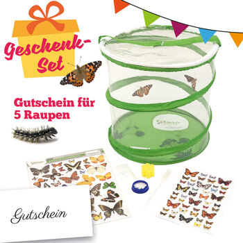 Produktbild von Schmetterlinge züchten Gutschein-Set