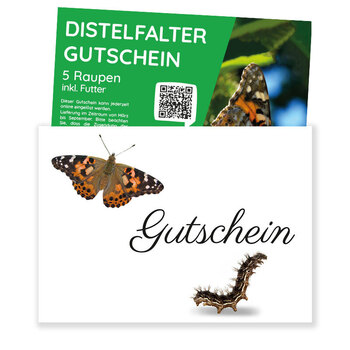 Produktbild von Nachbestell-Gutschein Schmetterlings-Raupen