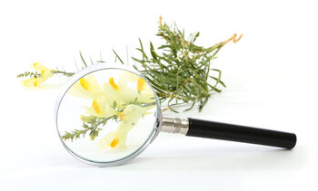 Produktbild von Vergrösserungsglas