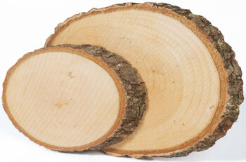 Produktbild von Naturholzscheiben Oval