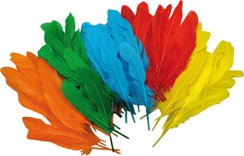 Produktbild von Bunte Federn groß 5 Farben 120 Stück