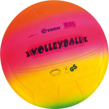 Produktbild von Beach-Volleyball Rainbow