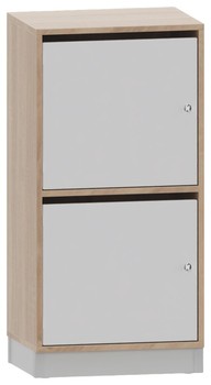 Produktbild von PROLINE Personalschrank, B 53,1 x H 100 x T 40 cm, PG2