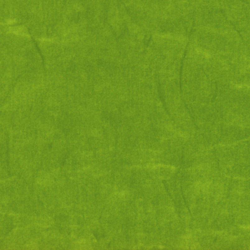 89074w.jpg