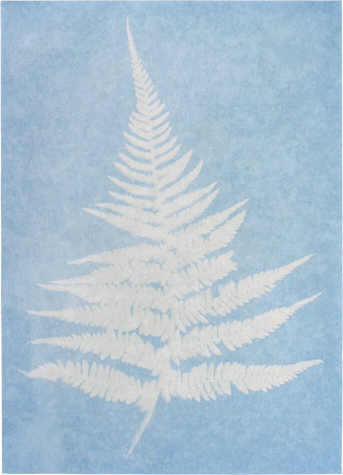 PhänoMINT Sonnendruckpapier blau