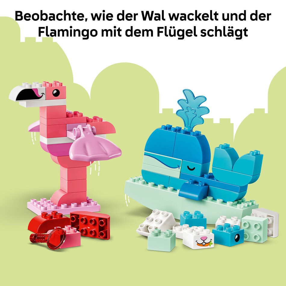 Bilder mit LEGO Erklärtexten