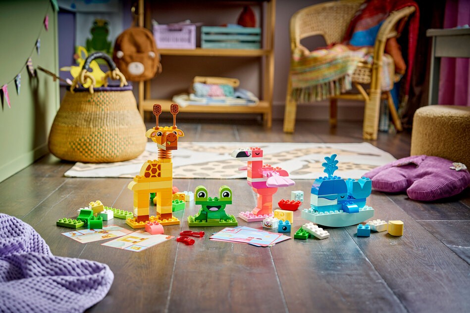 Aufbaubeispiele im Zimmer aufgebaut