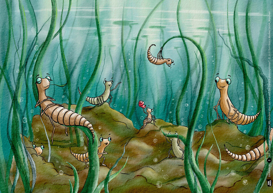 Von Larven und Libellen. Kamishibai-Bildkartenset