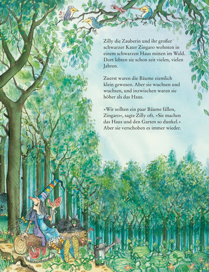Blick ins Buch Zilly & Zingaro So viel Abrakadabra