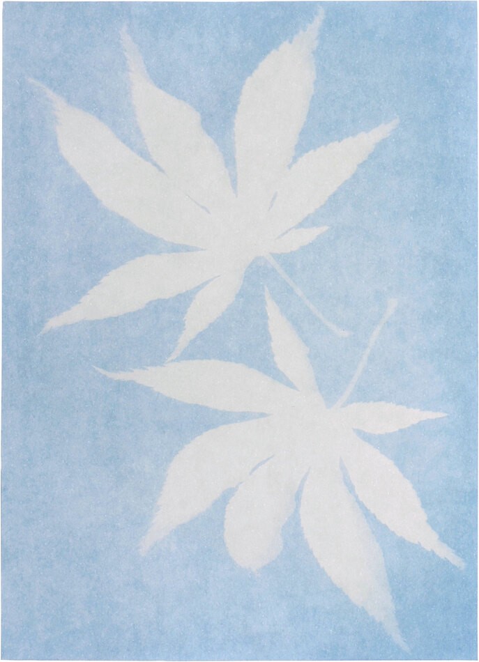 PhänoMINT Sonnendruckpapier blau
