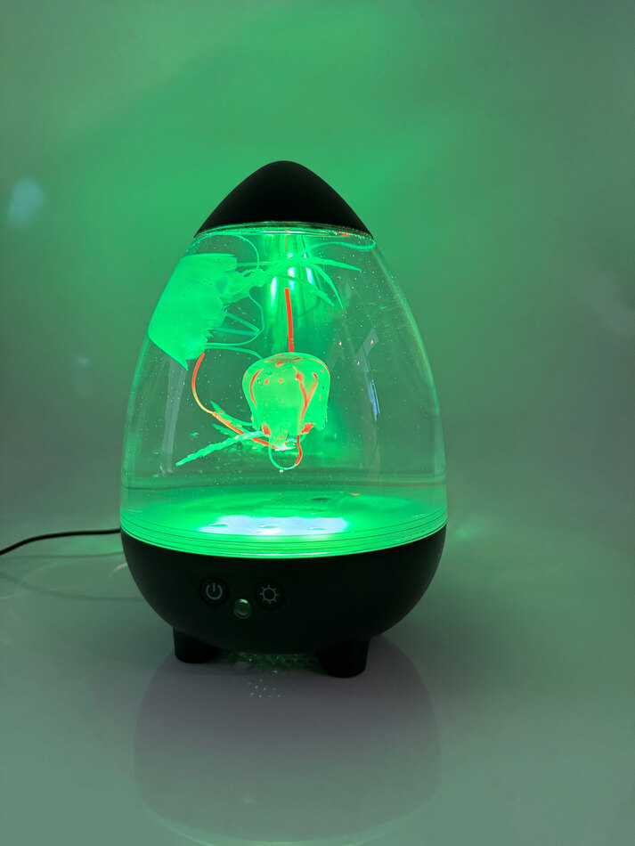 Sinneslampe Wasserwelt grün beleuchtet