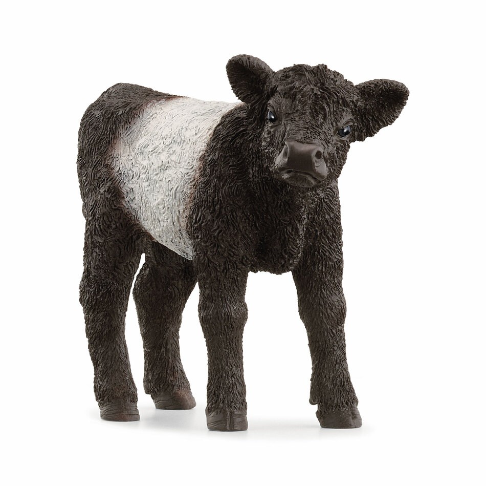 Schleich® Galloway Kalb