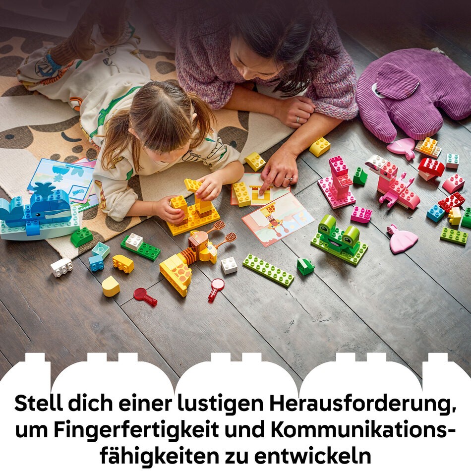 Bilder mit LEGO Erklärtexten