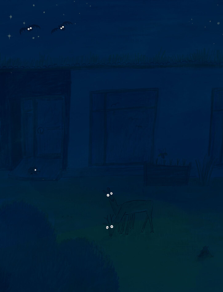 Blick ins Buch Nachtspaziergang