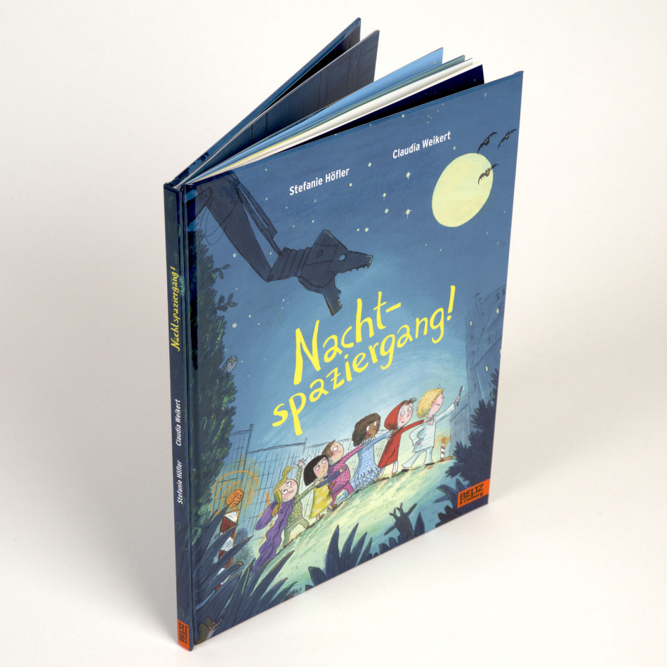 Abbildung Buch Nachtspaziergang
