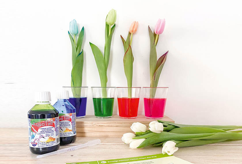 durstige-tulpen_vorschau.jpg