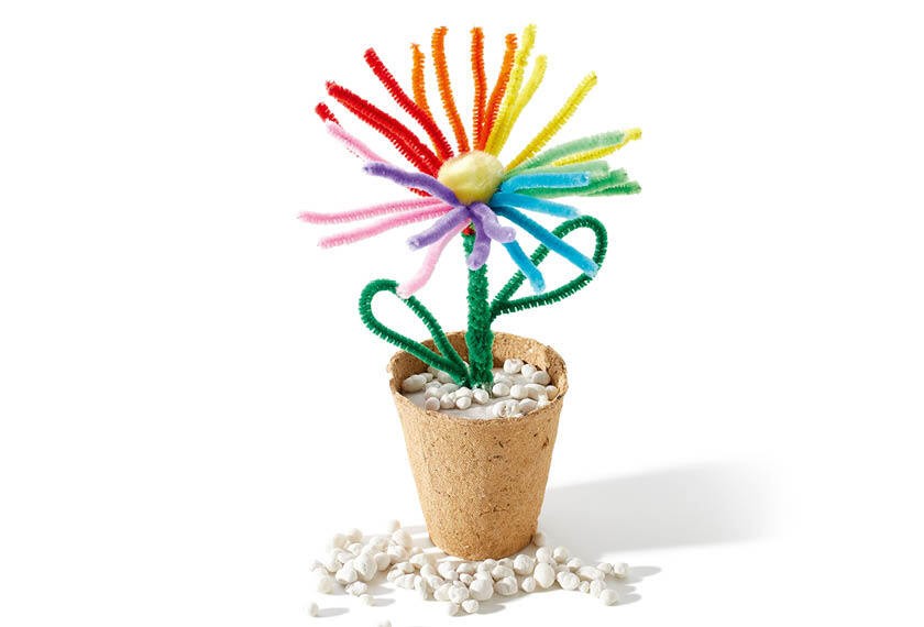 regenbogen-blume_vorschau.jpg