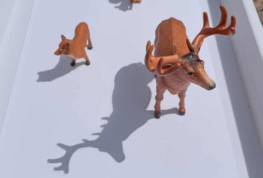 schatten-malerei_galerie.jpg