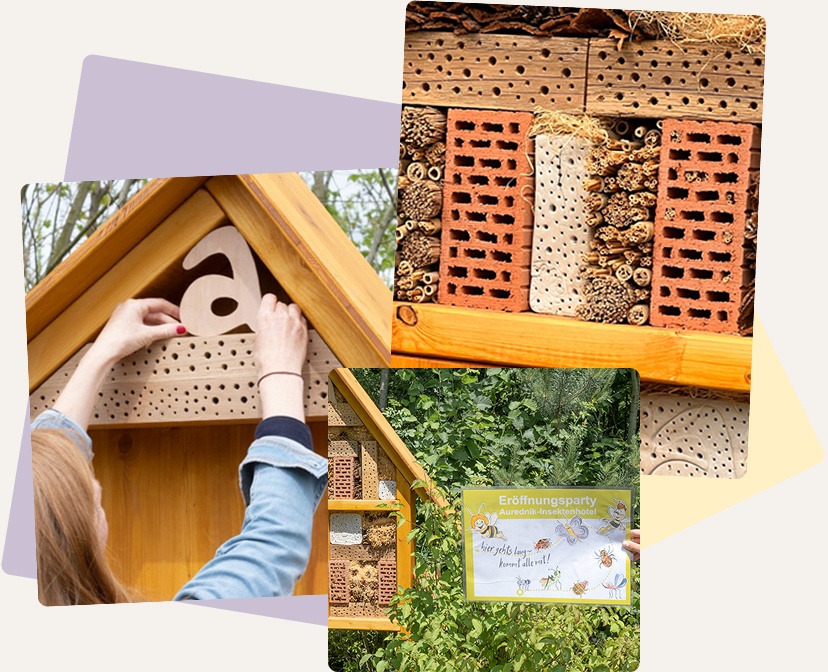 Collage Insektenhotel Aurednik