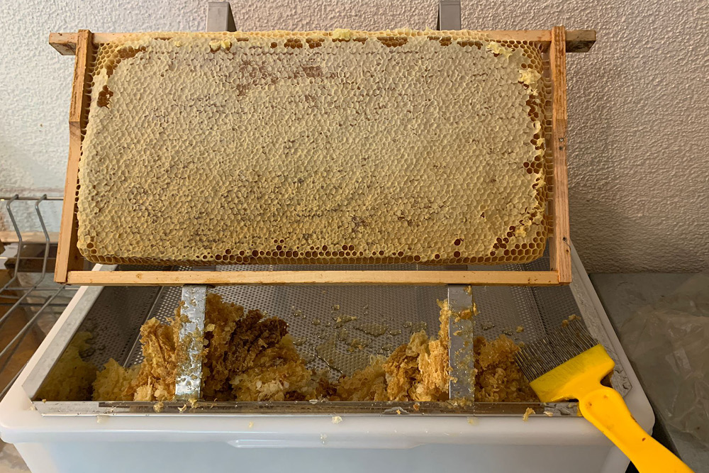 Bienenwaben