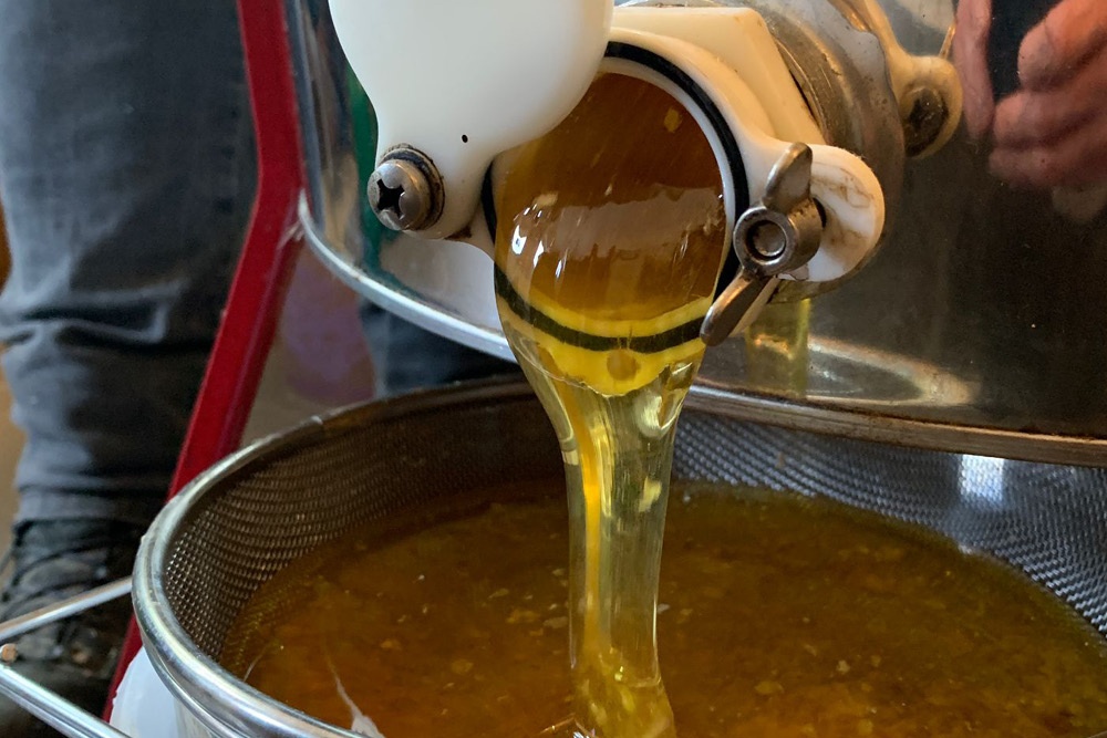 Honig wird in ein Gefäß gegossen