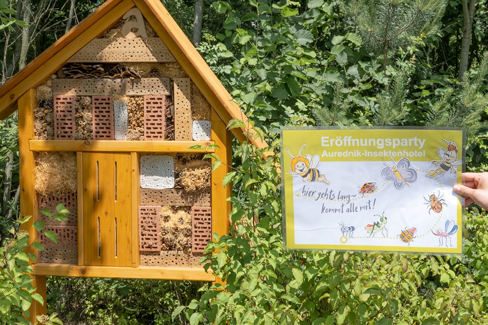 Bienenwaben